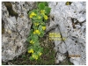 slide17