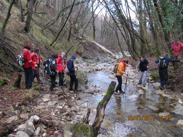 Društvo za priznanje praženega krompirja kot samostojne jedi