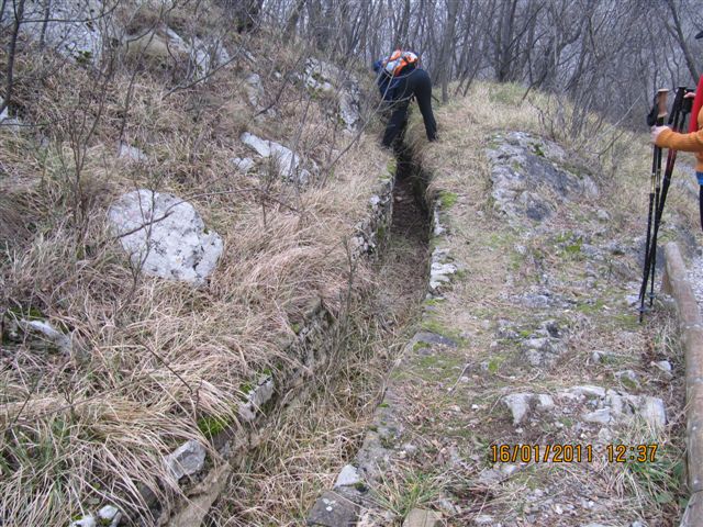 Društvo za priznanje praženega krompirja kot samostojne jedi