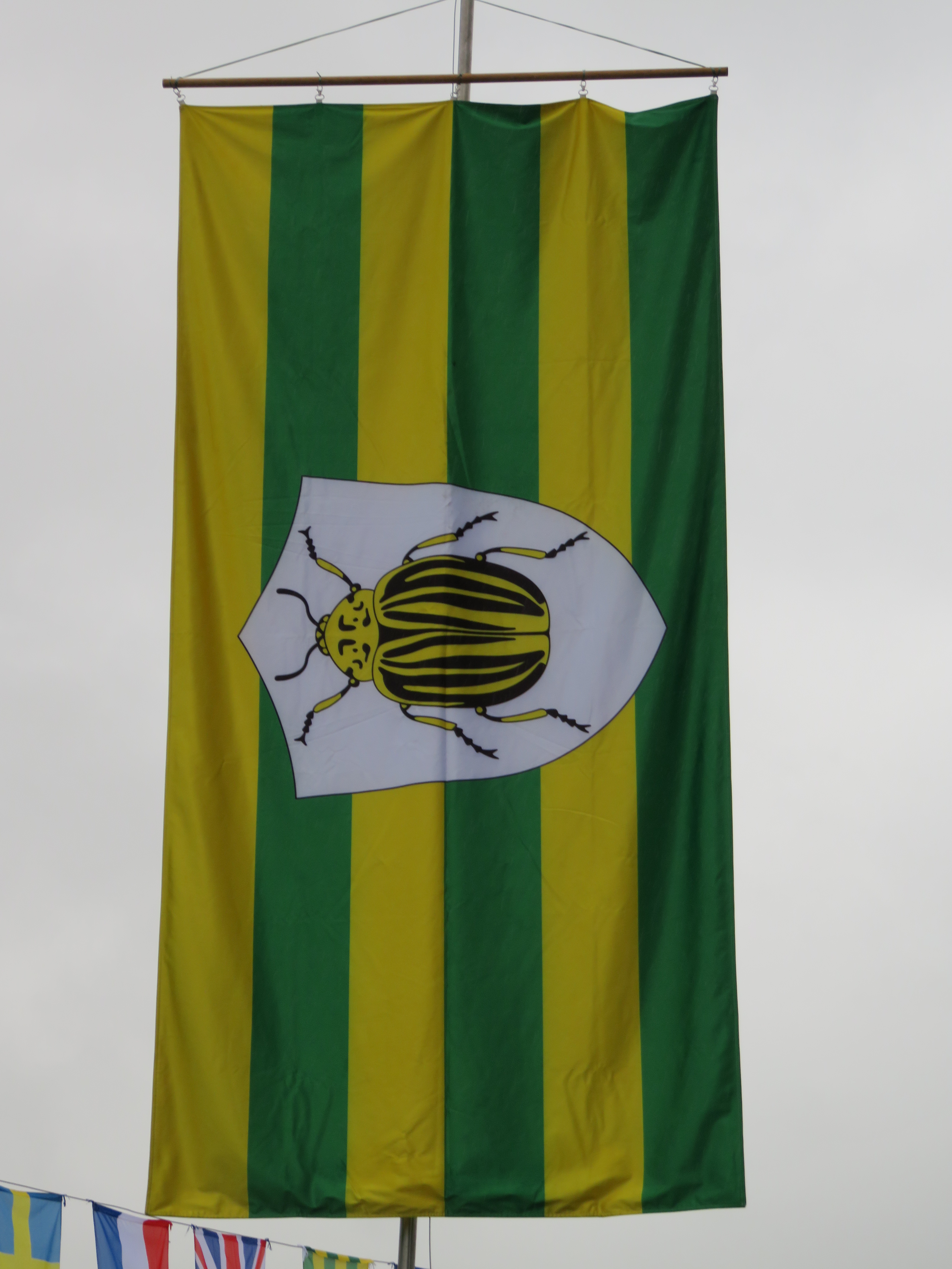 Društvo za priznanje praženega krompirja kot samostojne jedi