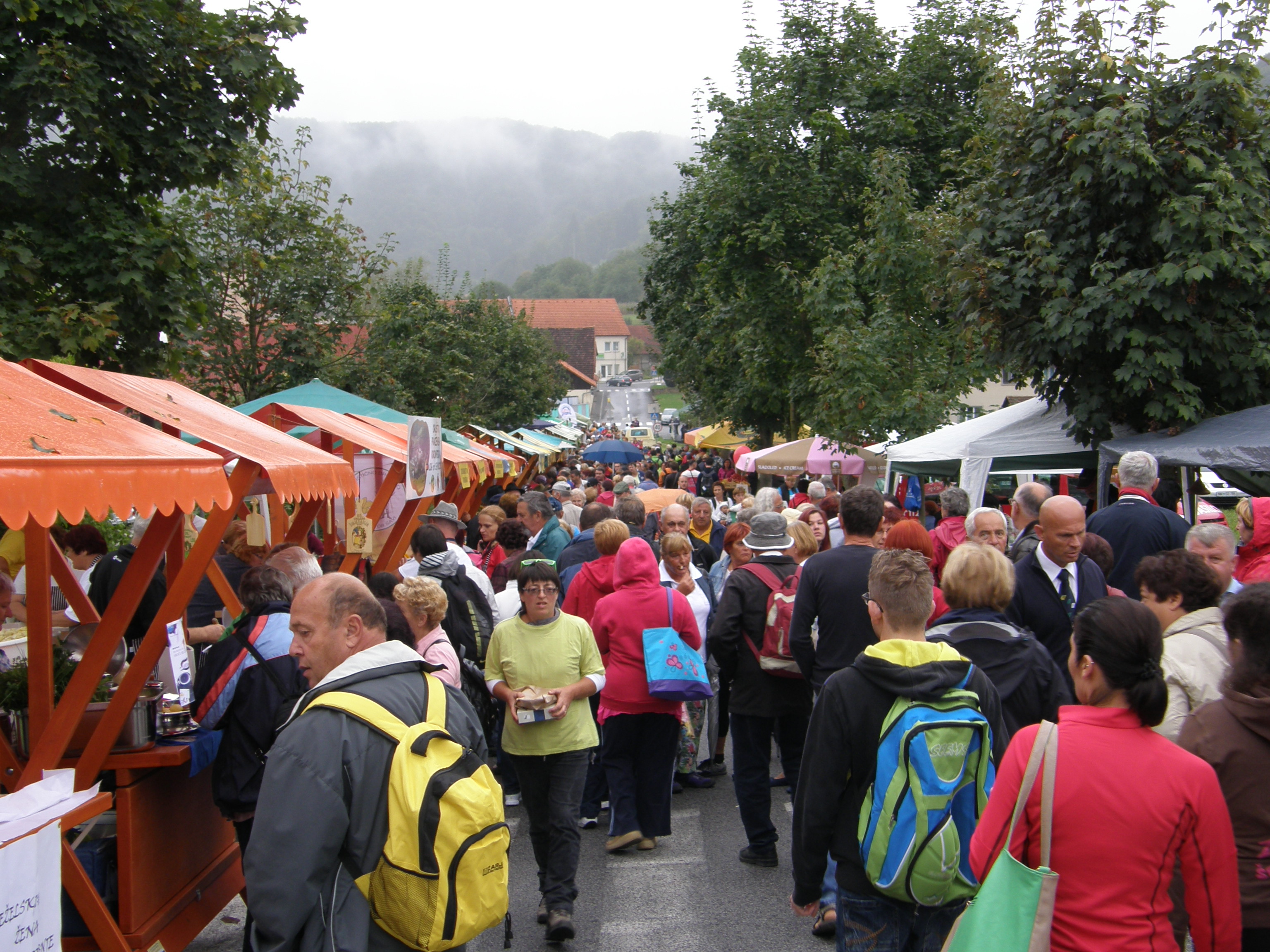 Društvo za priznanje praženega krompirja kot samostojne jedi