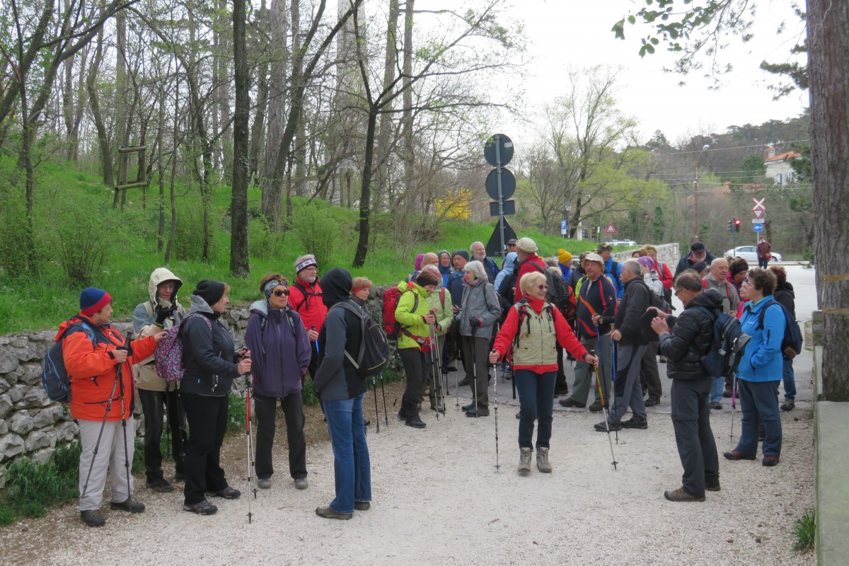 Društvo za priznanje praženega krompirja kot samostojne jedi