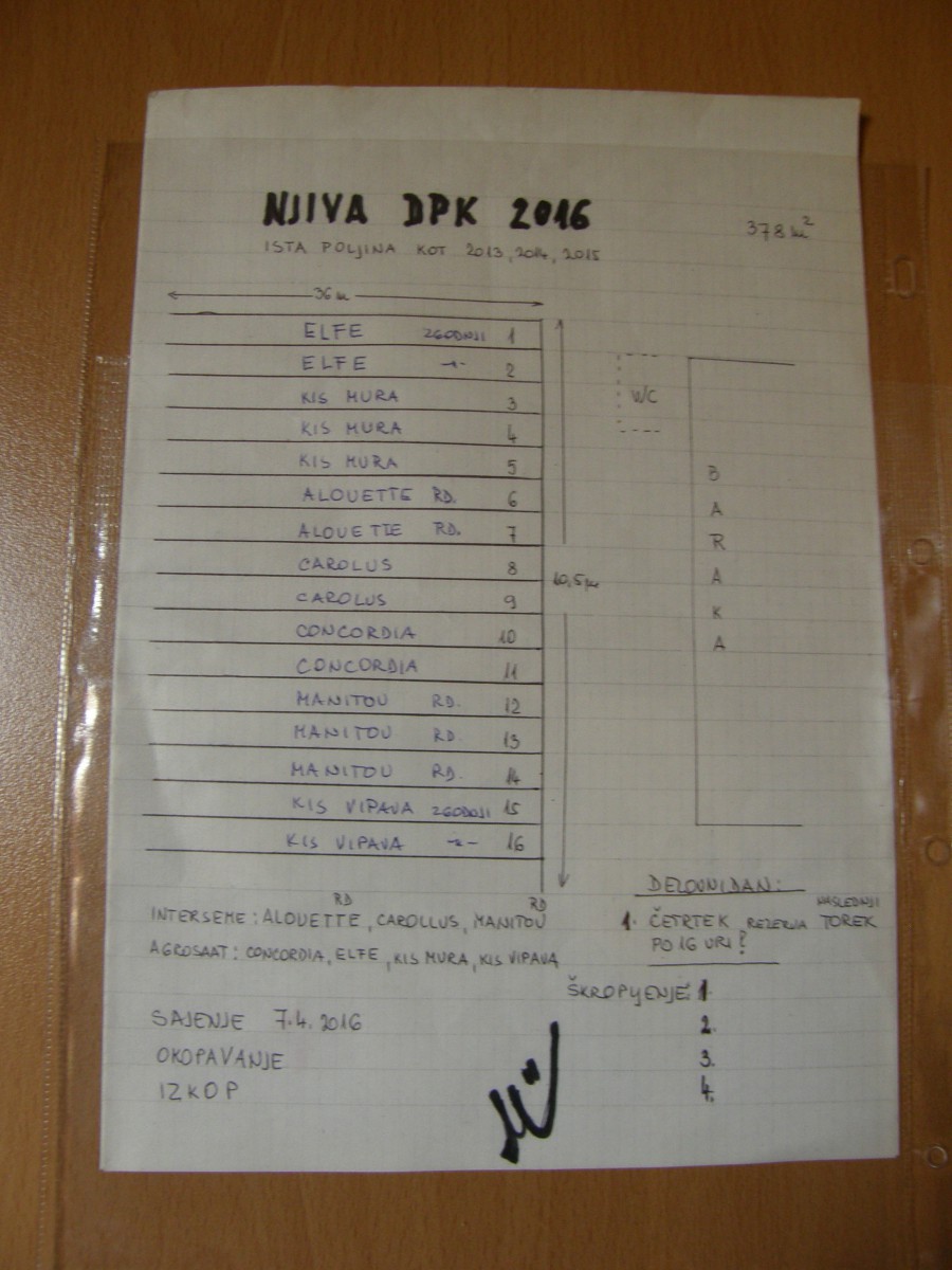 Društvo za priznanje praženega krompirja kot samostojne jedi